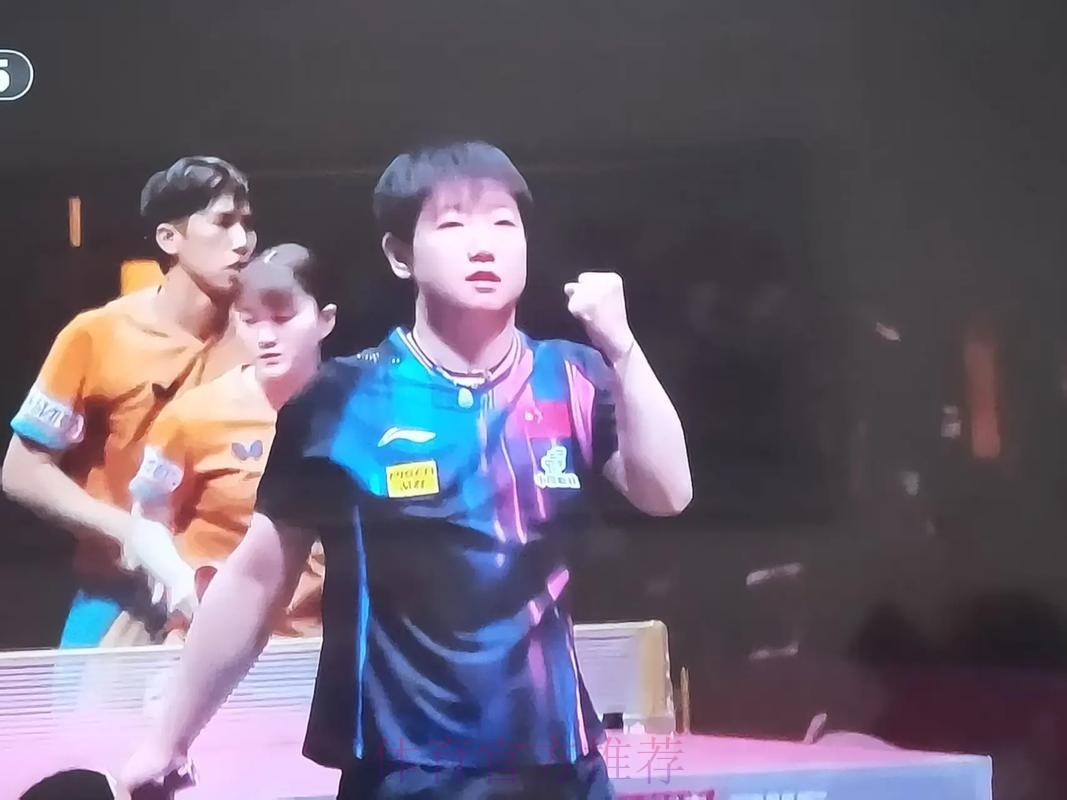 在线观看2026世界杯乒乓球决赛直播盛况