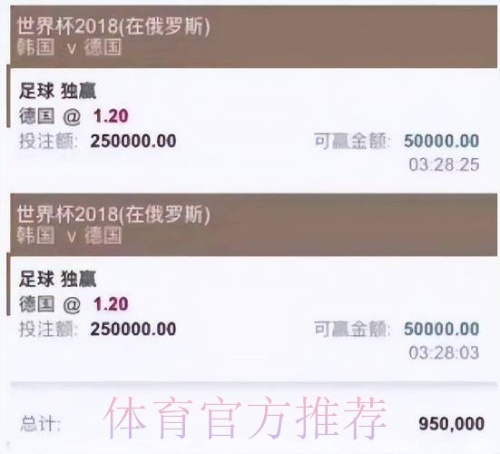 官方注册平台，为您开启世界杯投注之旅